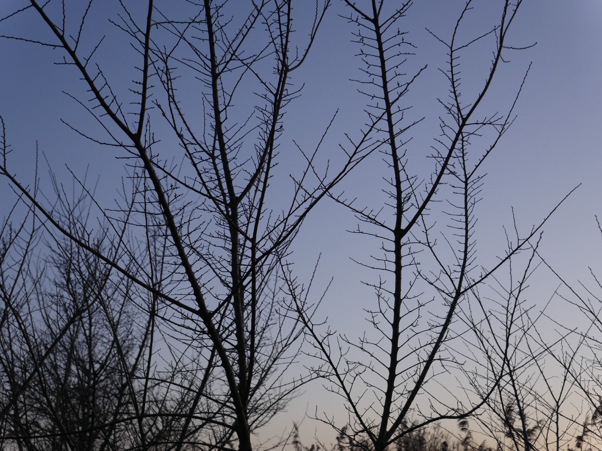 75881ca0-65ac-42f6-81d2-f33943a46945