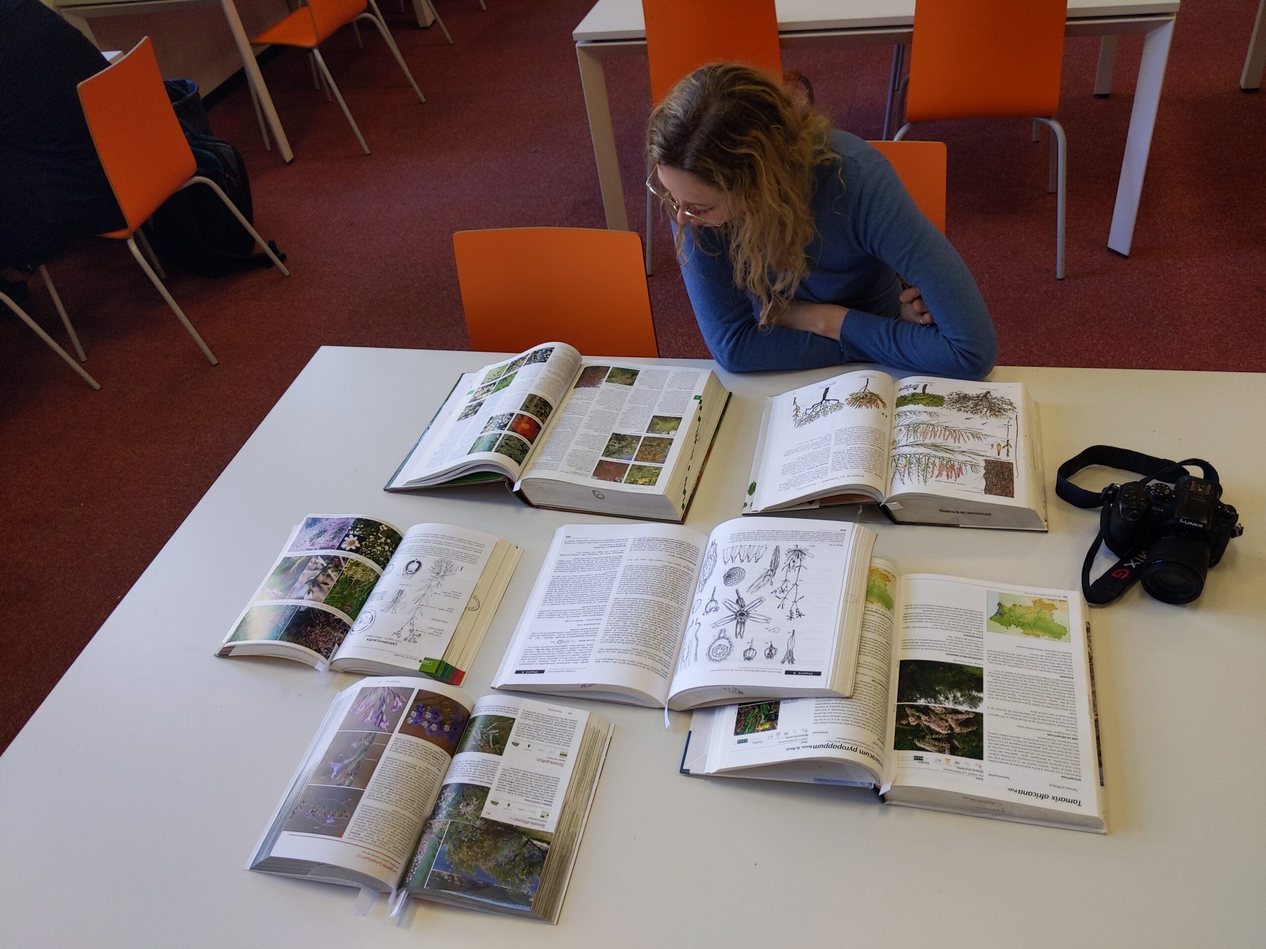 PXL_20260211_135152220