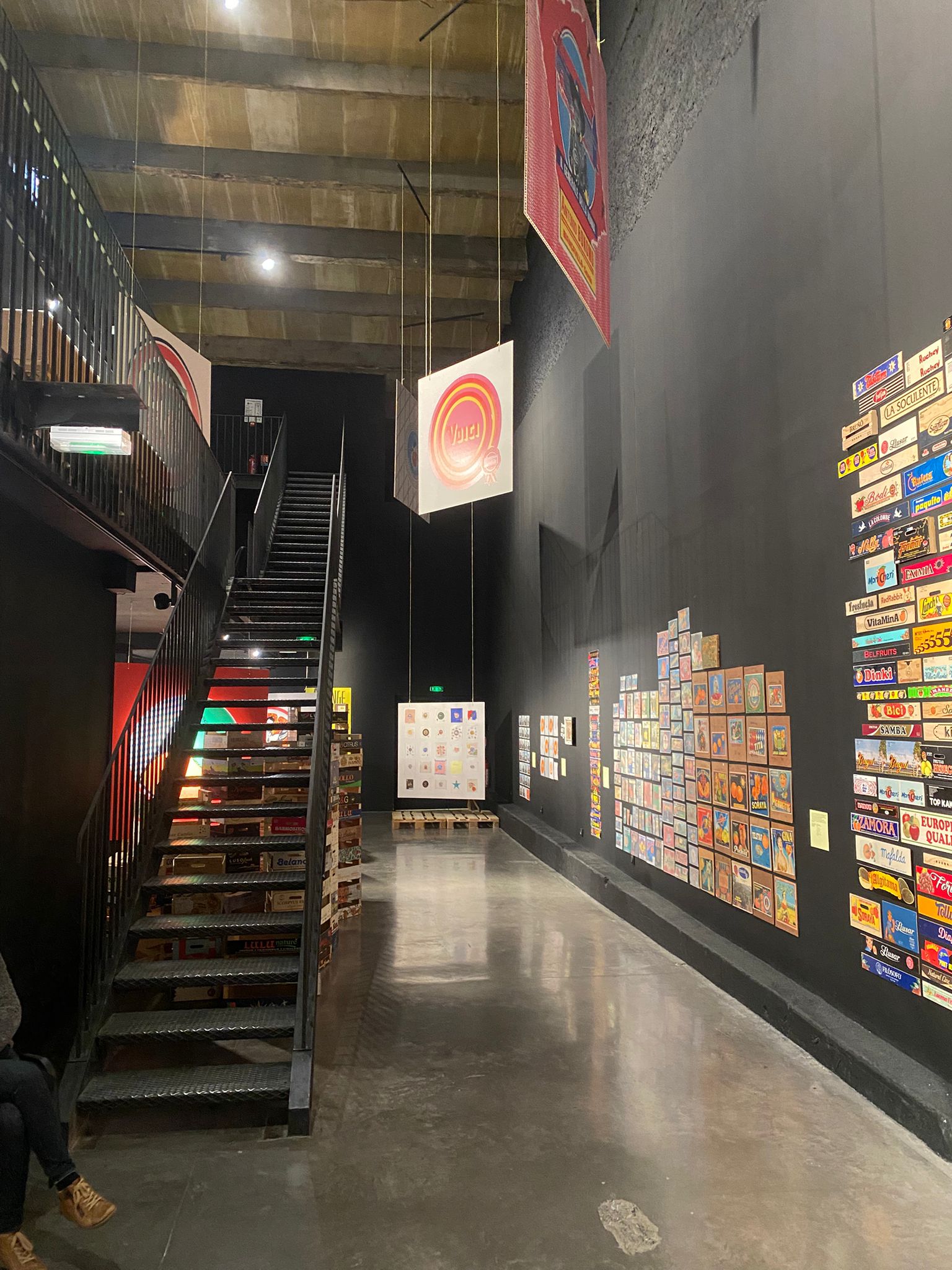 WhatsApp Image 2026-02-02 at 10.20.15 (1)