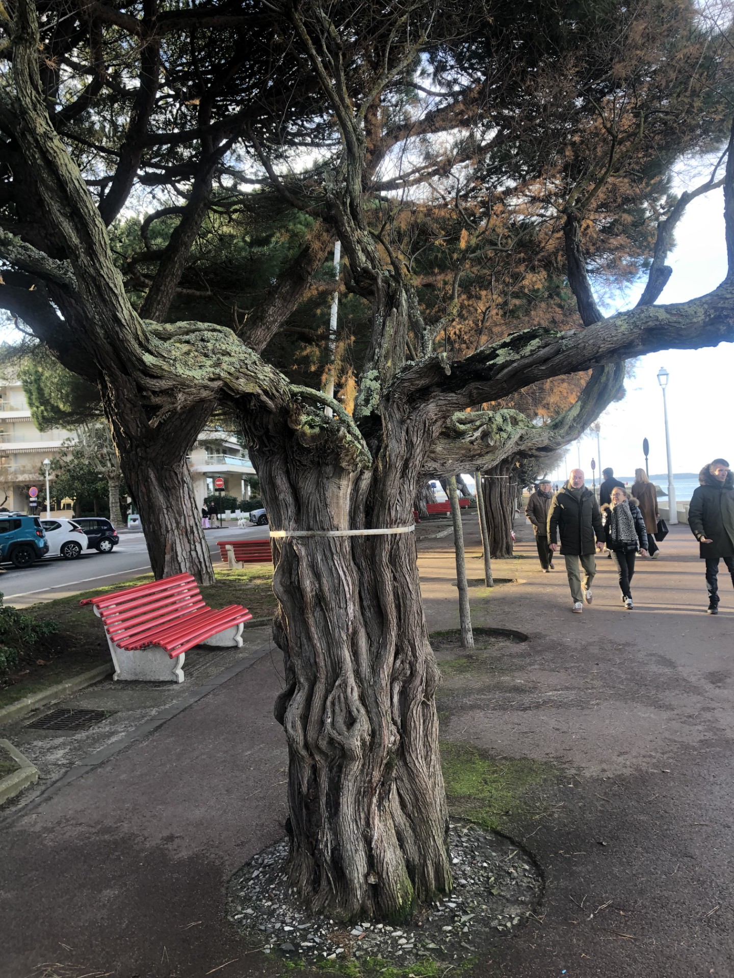 f6a5bbdf-7b27-4590-8e81-b3c418697d3b