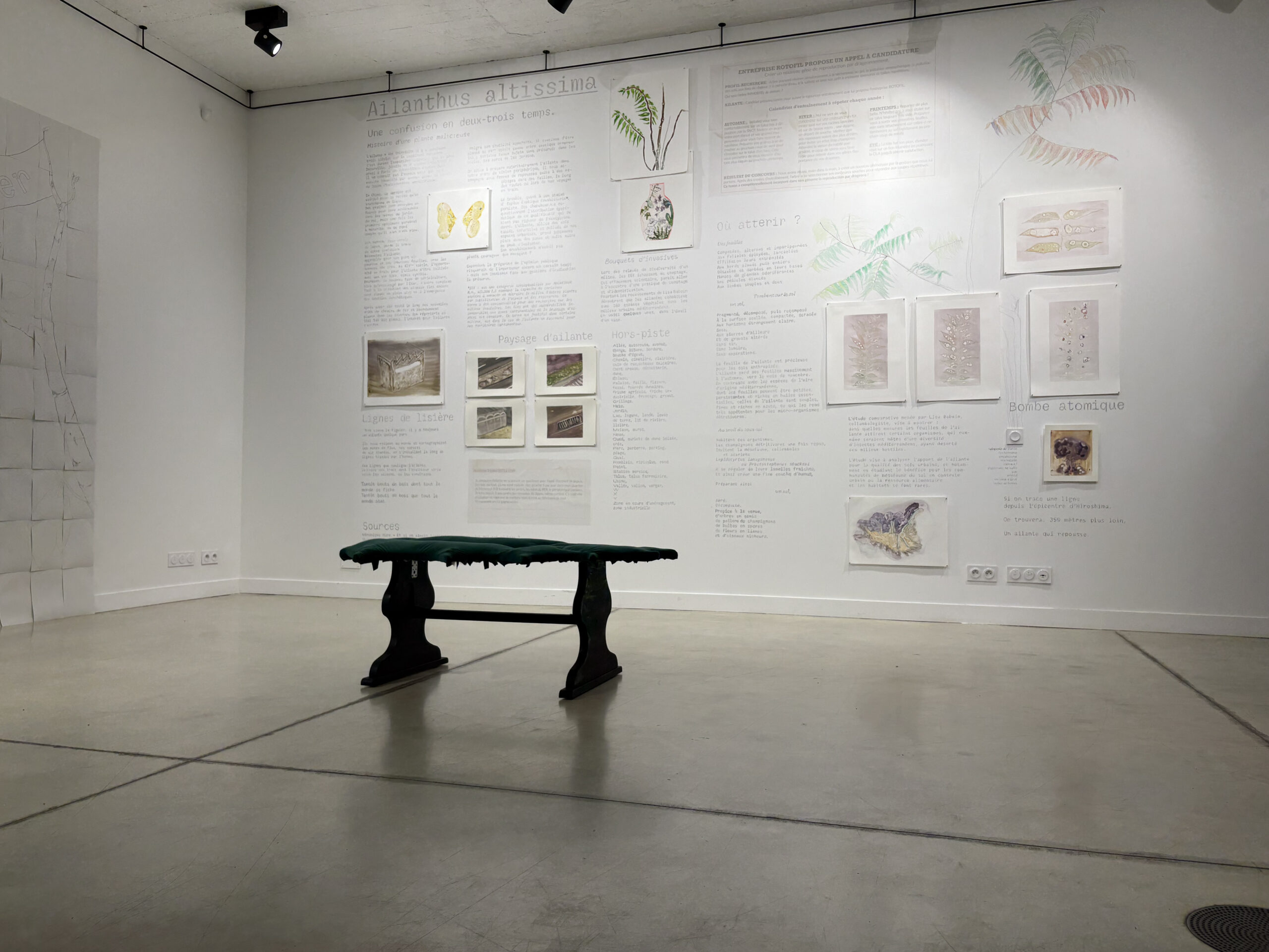 20260227_180615261_iOS