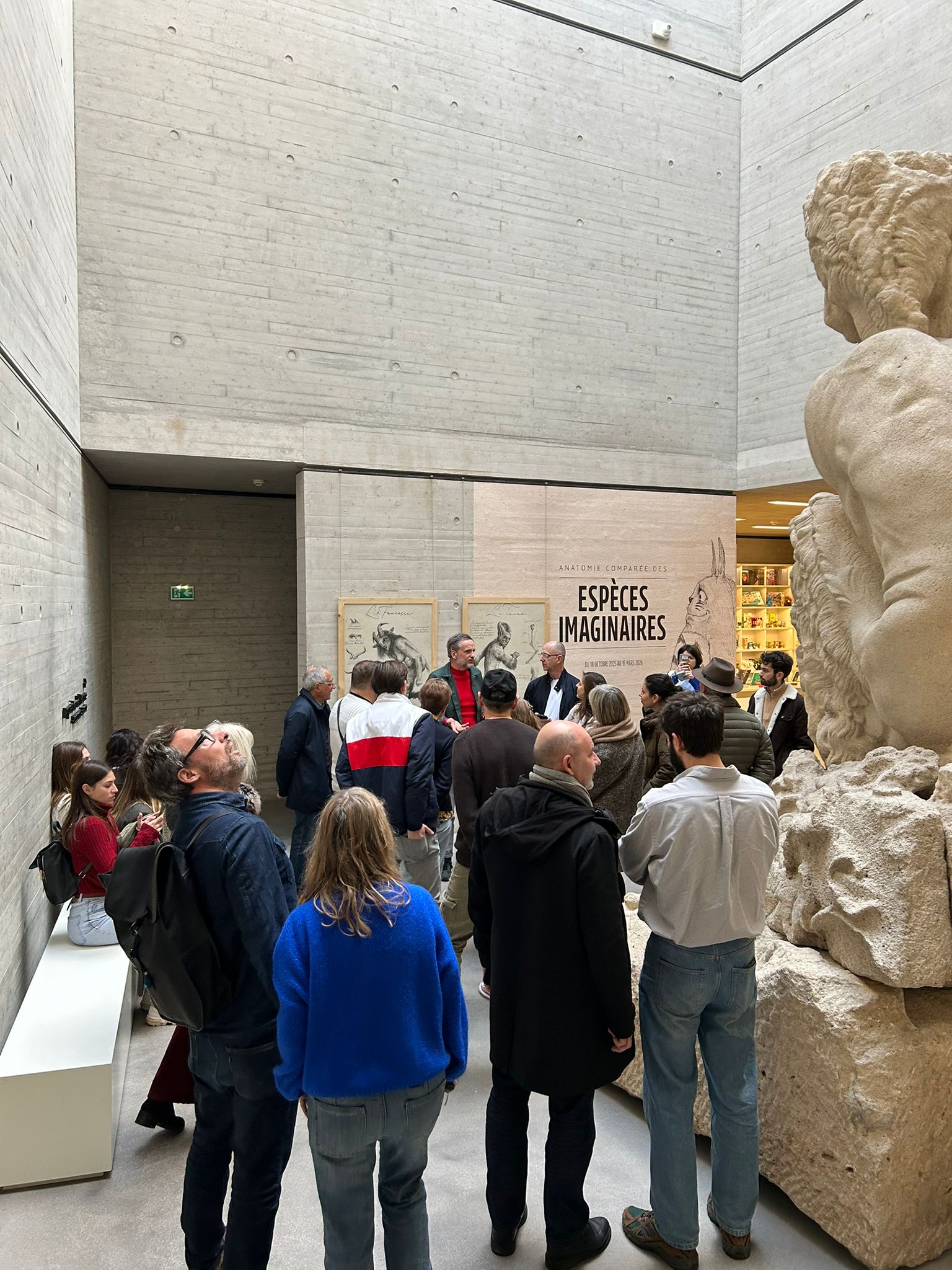 WhatsApp Image 2026-02-14 at 16.16.04