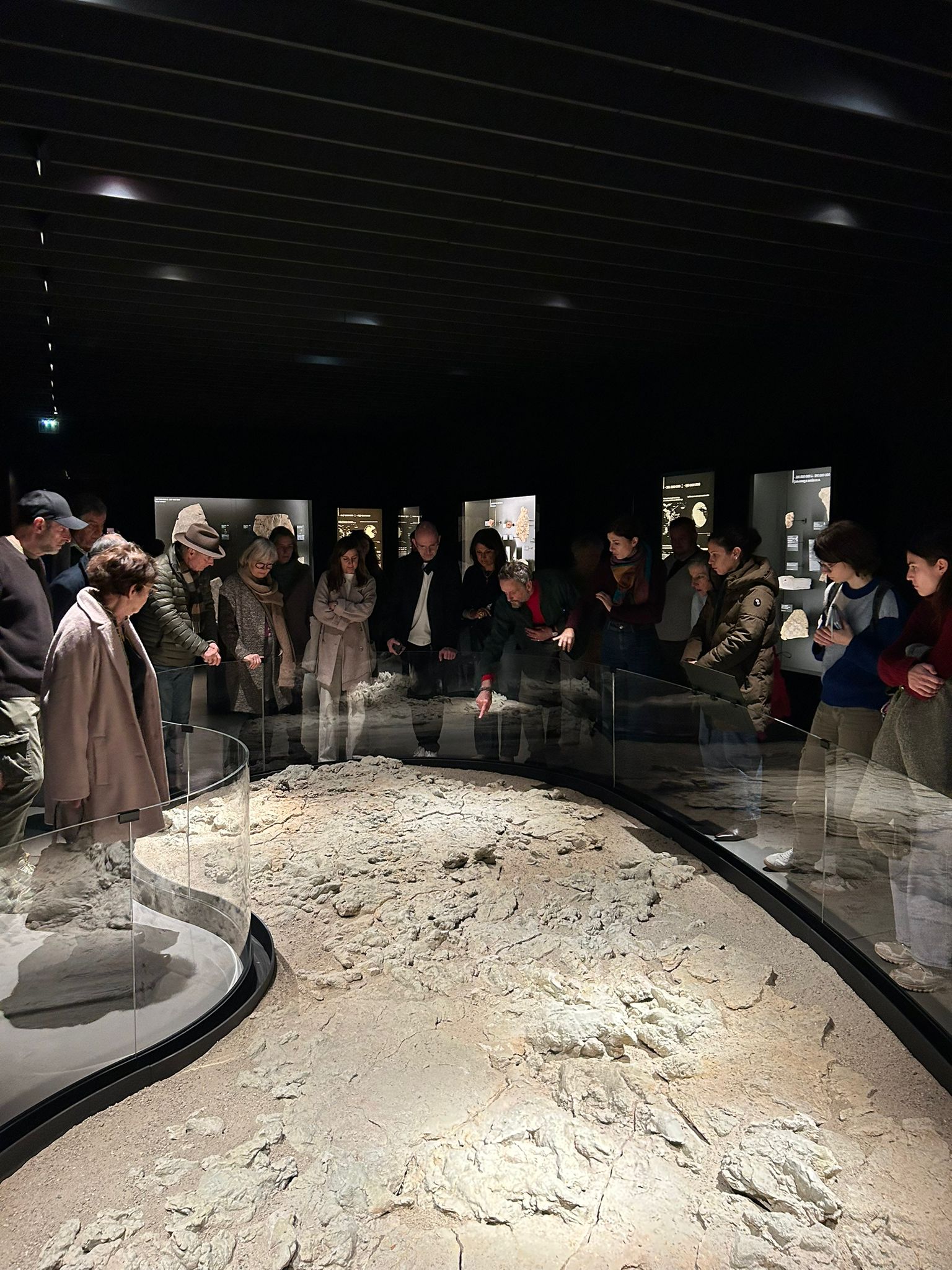 WhatsApp Image 2026-02-14 at 16.16.07 (1)