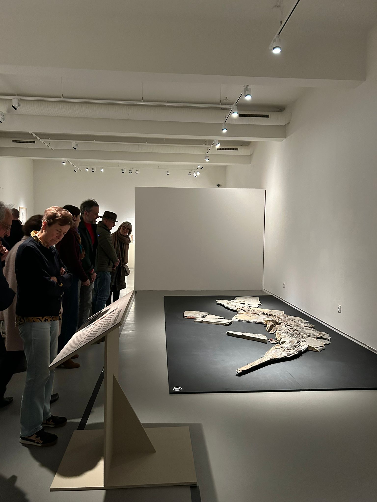 WhatsApp Image 2026-02-14 at 16.16.07