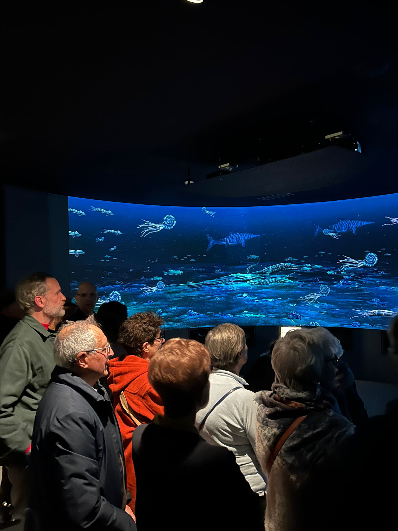 WhatsApp Image 2026-02-14 at 16.16.08 (2)